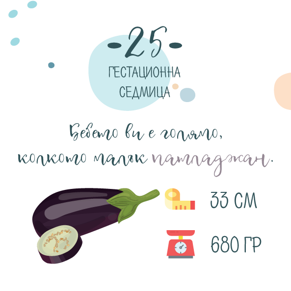 25 гестационна седмица от бременността