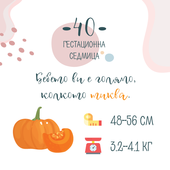 40 гестационна седмица – 40 седмица от бременността