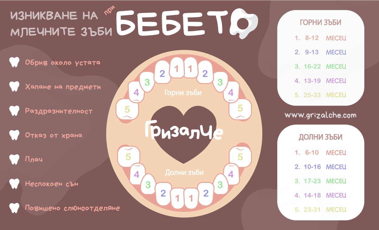 Поникване на млечните зъби, колко са на брой и кога никнат