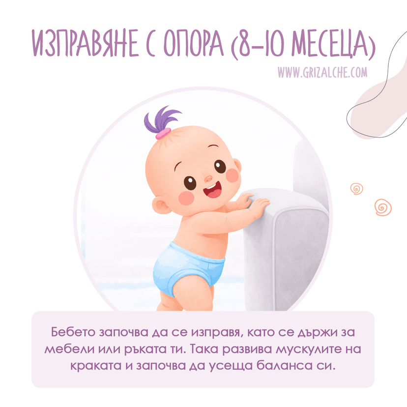 Бебе се изправя с опора — 8–10 месеца