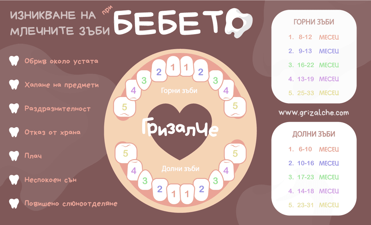 Поникване на млечните зъби, колко са на брой и кога никнат