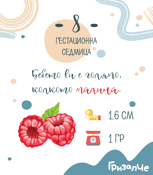 Бременност седмица 8