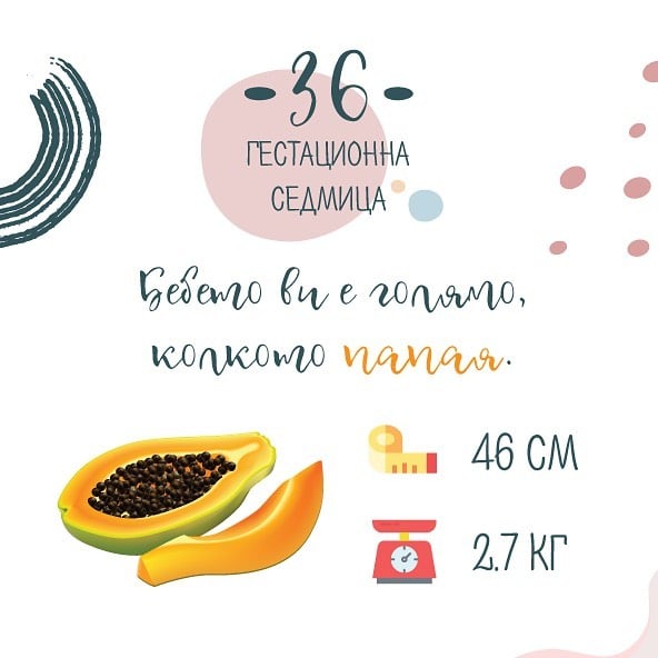 Бременност седмица 36